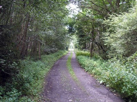 Foto 13